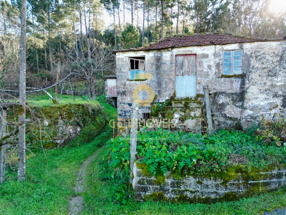 Quinta T0 para Venda em Fornelos Foto 6