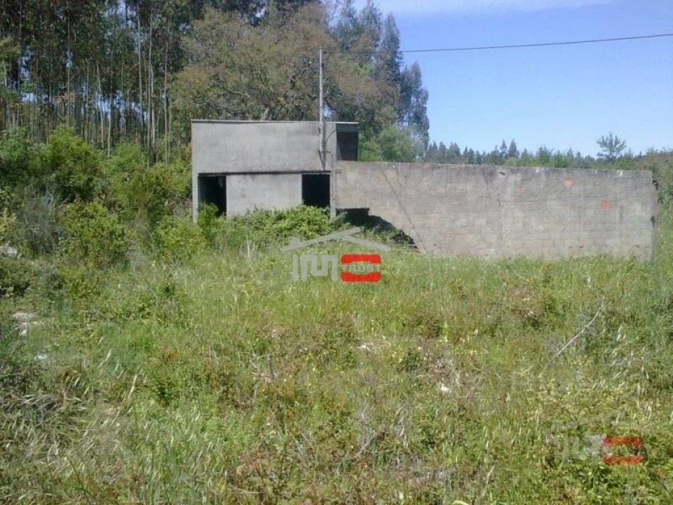 Terreno Misto para Venda em São Mamede Foto 5