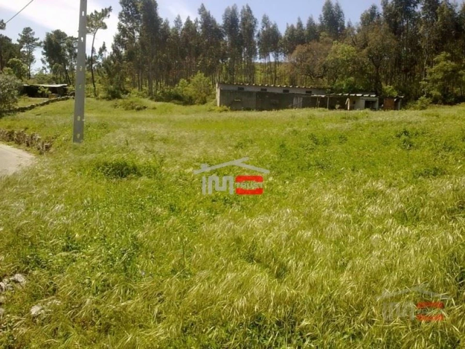 Terreno Misto para Venda em São Mamede Foto 6