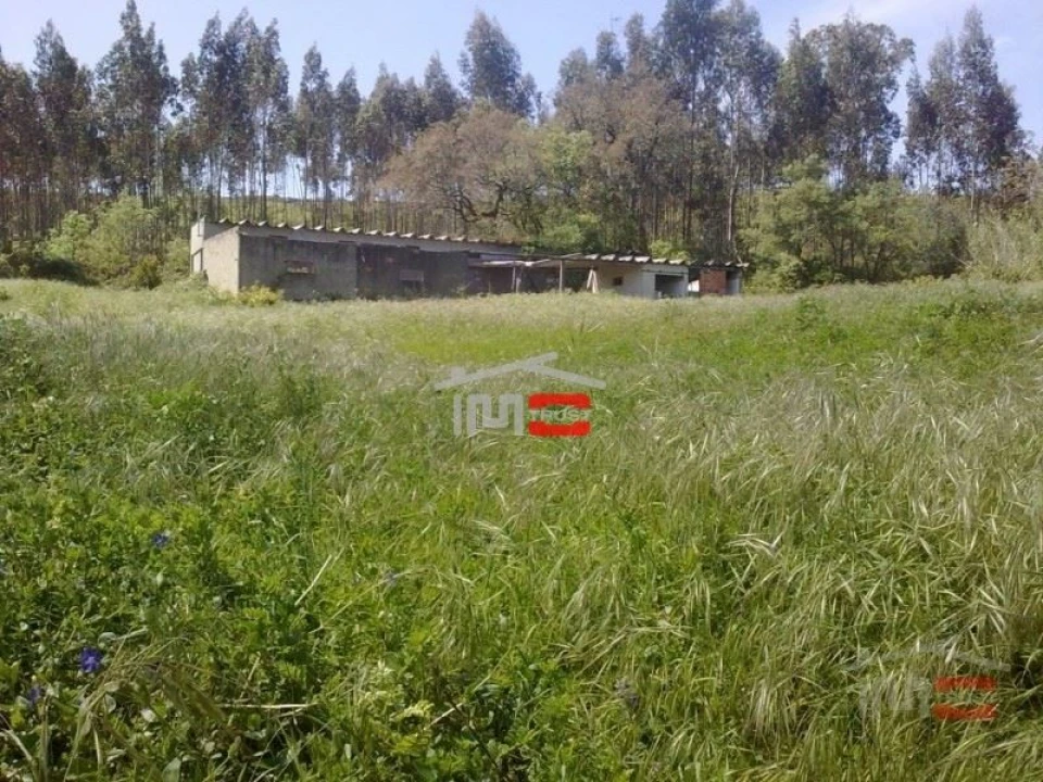 Terreno Misto para Venda em São Mamede Foto 10