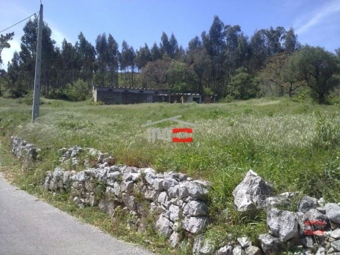 Terreno Misto para Venda em São Mamede Foto 1