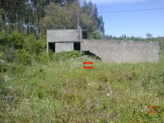 Terreno Misto para Venda em São Mamede Foto 5