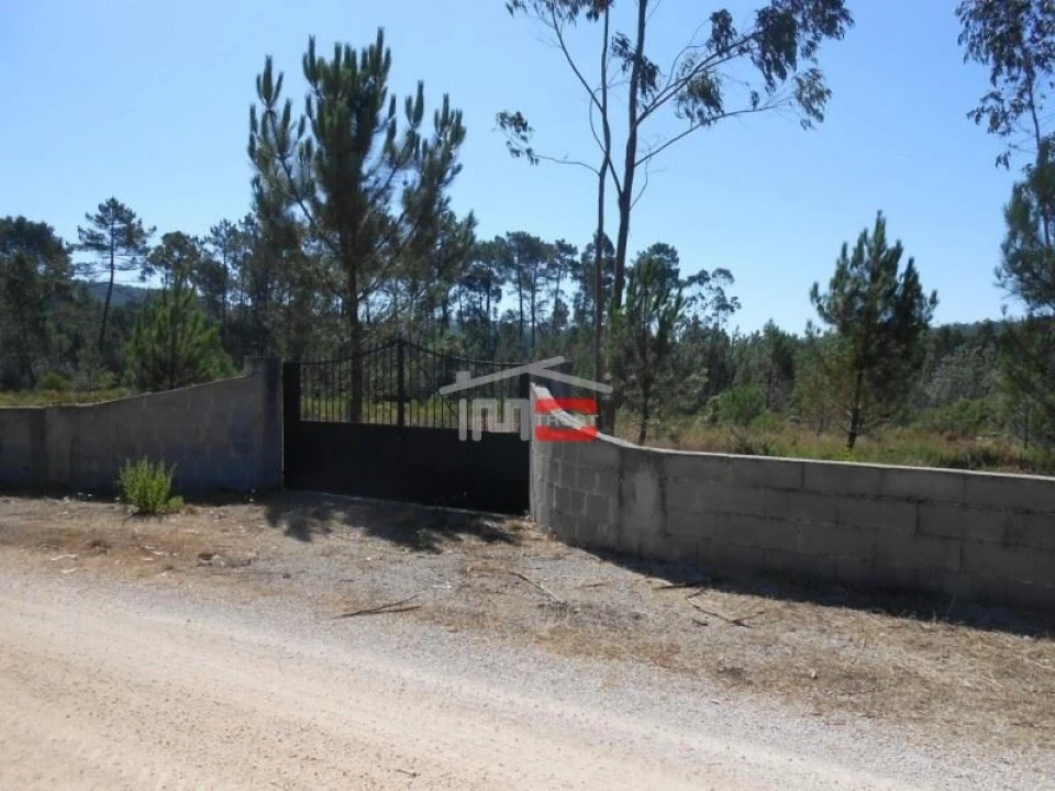 Terreno Misto para Venda em São Mamede Foto 4