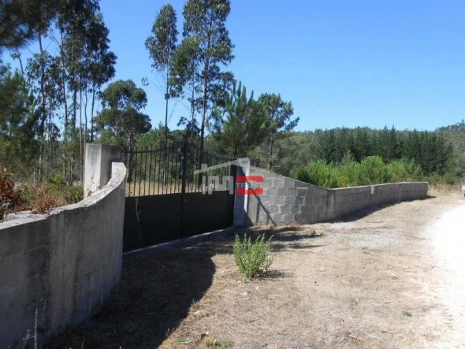 Terreno Misto para Venda em São Mamede Foto 6