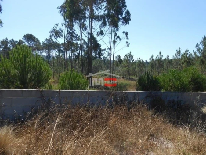 Terreno Misto para Venda em São Mamede Foto 9