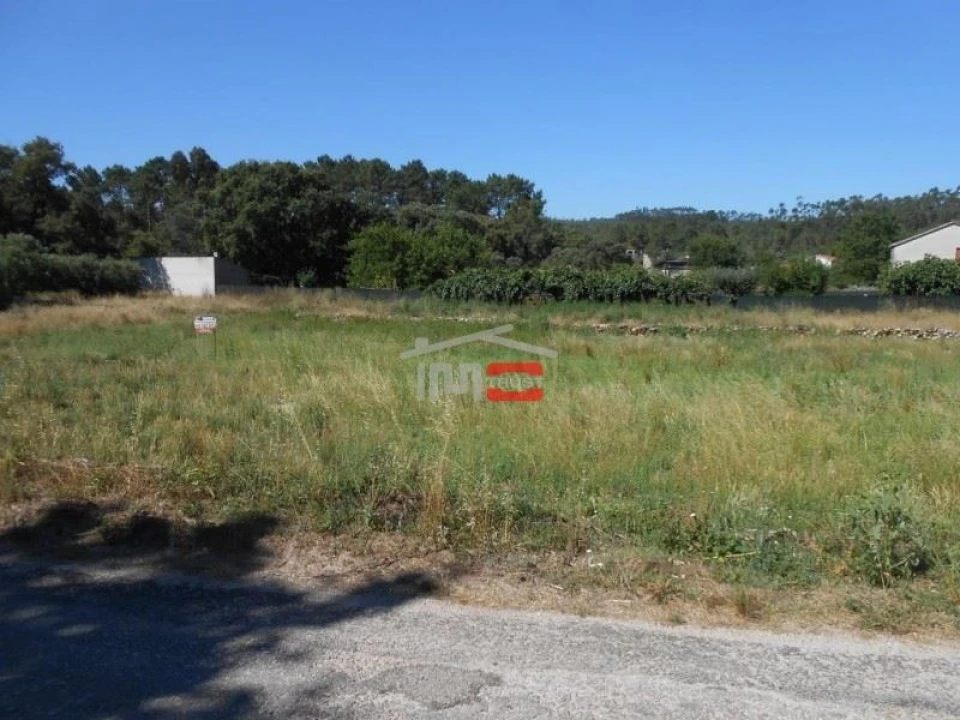 Terreno Misto para Venda em São Mamede Foto 1