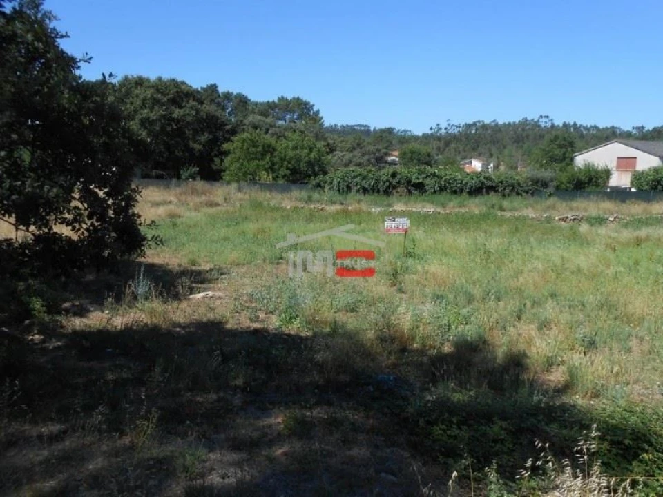 Terreno Misto para Venda em São Mamede Foto 8