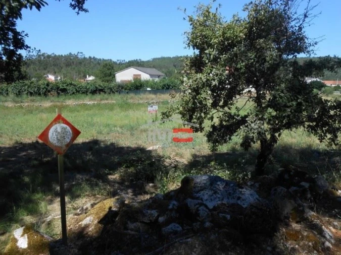 Terreno Misto para Venda em São Mamede Foto 10