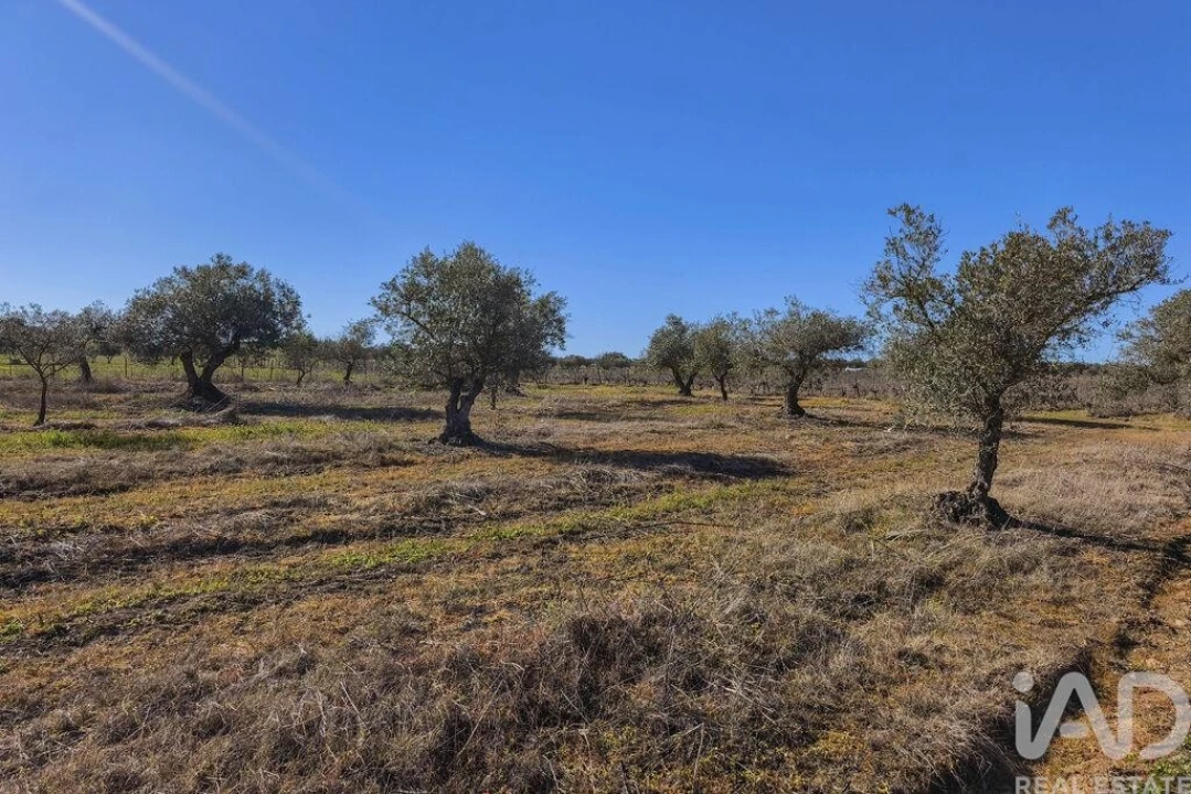 Terreno para Venda em Granja Foto 26