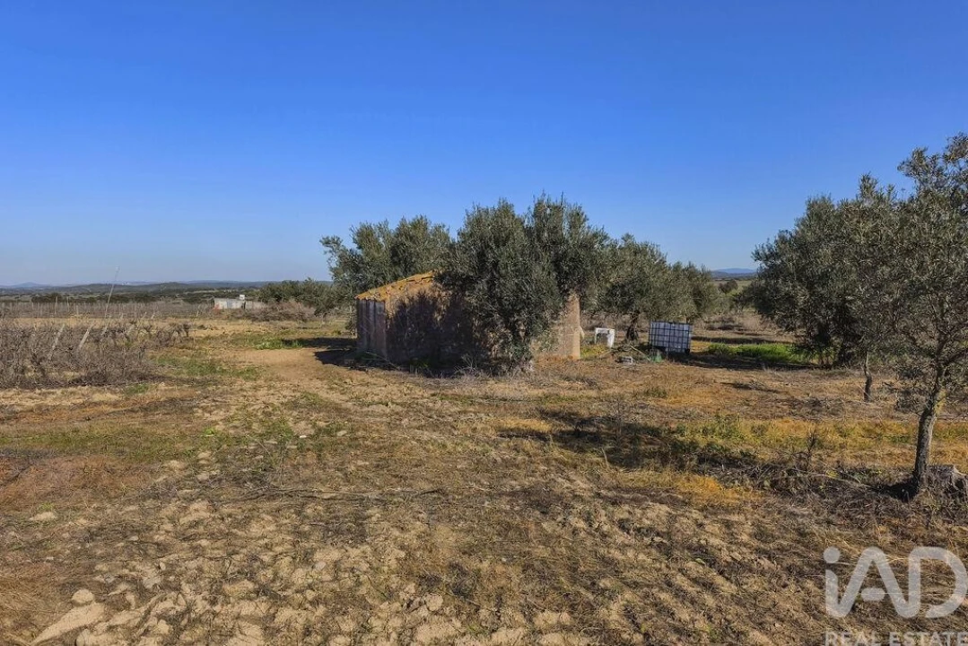 Terreno para Venda em Granja Foto 24