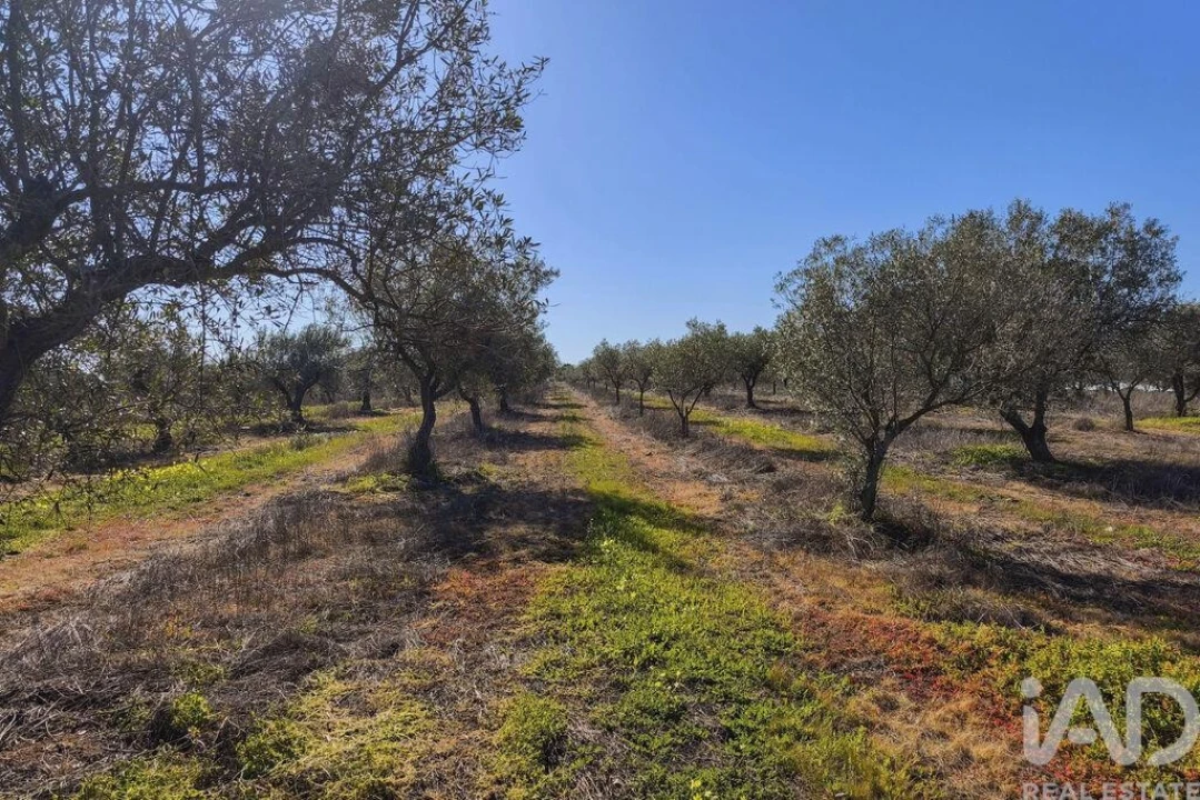 Terreno para Venda em Granja Foto 18