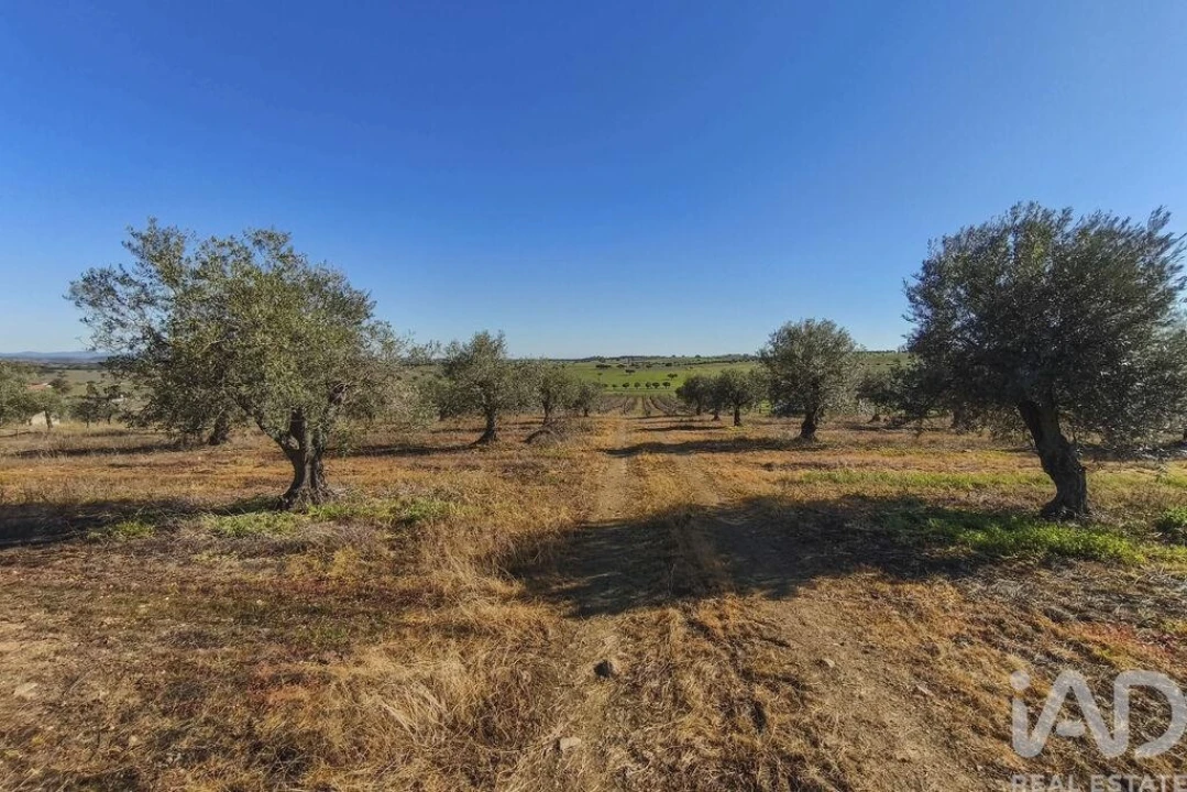 Terreno para Venda em Granja Foto 20