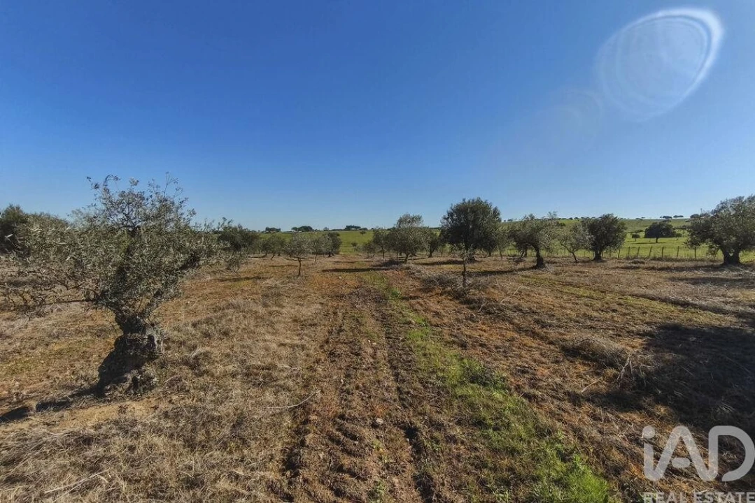 Terreno para Venda em Granja Foto 27
