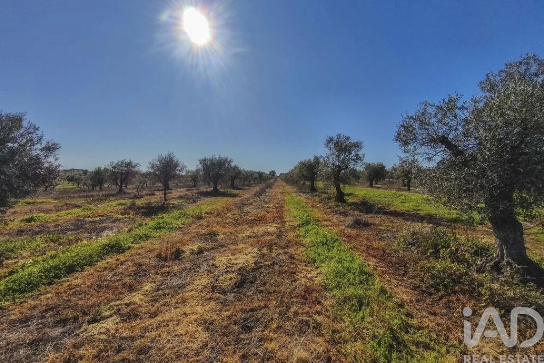Terreno para Venda em Granja Foto 17