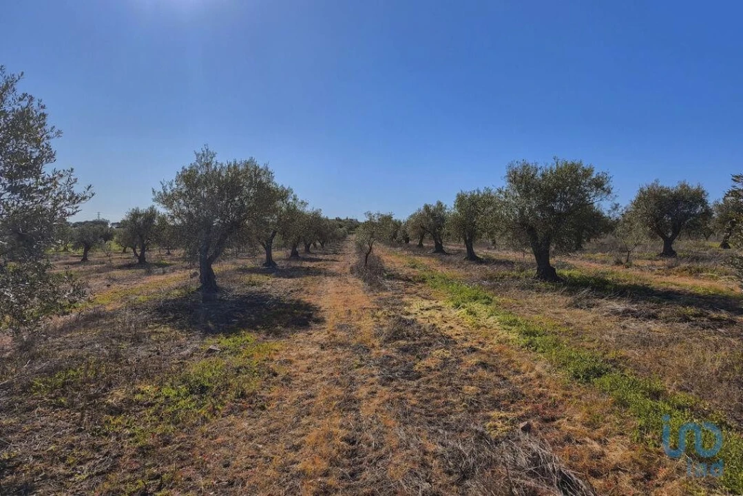 Terreno para Venda em Granja Foto 15