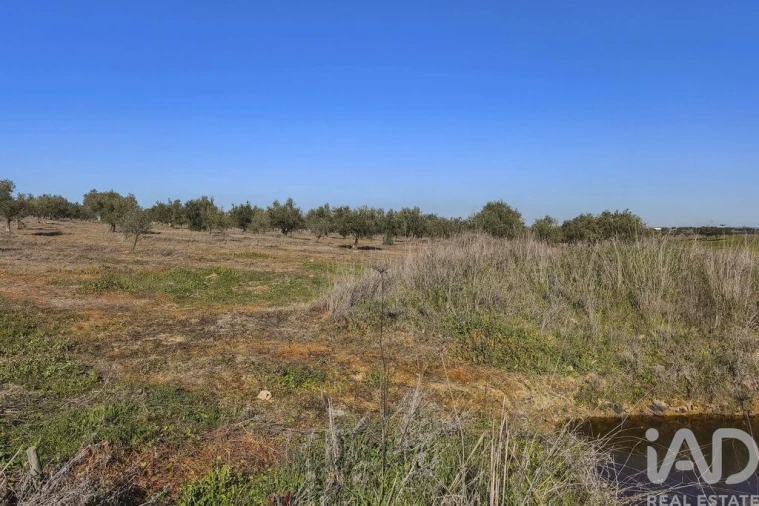 Terreno para Venda em Granja Foto 29