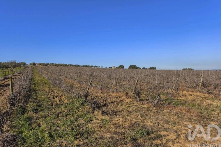 Terreno para Venda em Granja Foto 30