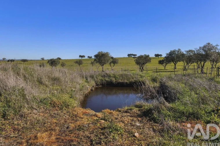 Terreno para Venda em Granja Foto 28