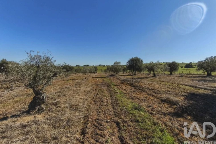 Terreno para Venda em Granja Foto 27