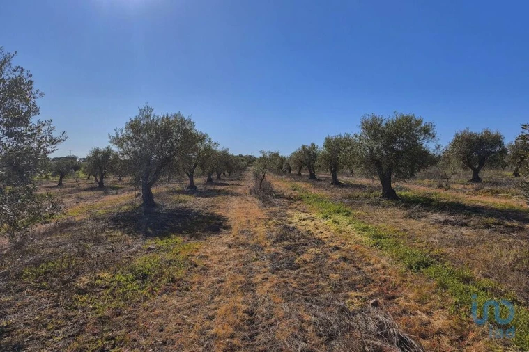 Terreno para Venda em Granja Foto 15