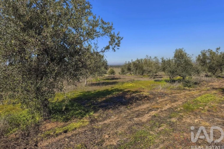 Terreno para Venda em Granja Foto 19