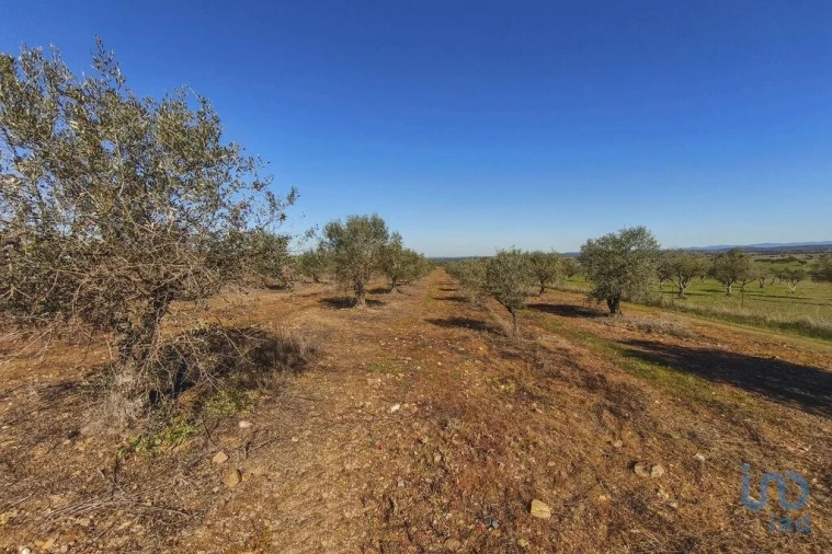 Terreno para Venda em Granja Foto 11