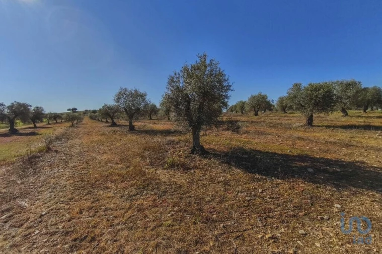 Terreno para Venda em Granja Foto 14