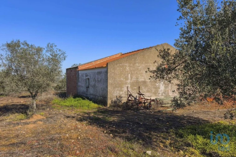 Terreno para Venda em Granja Foto 4