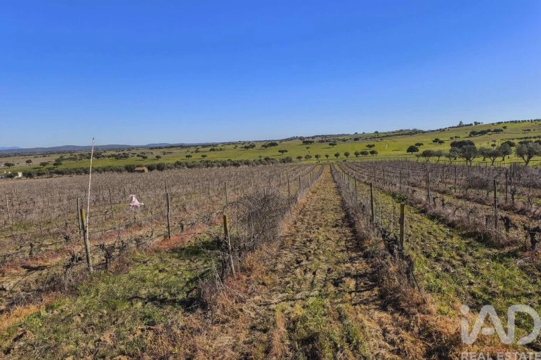 Terreno para Venda em Granja Foto 21