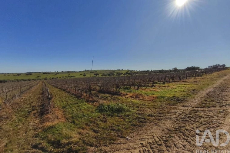 Terreno para Venda em Granja Foto 22