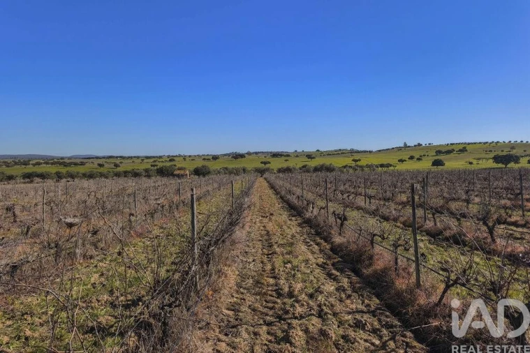 Terreno para Venda em Granja Foto 23