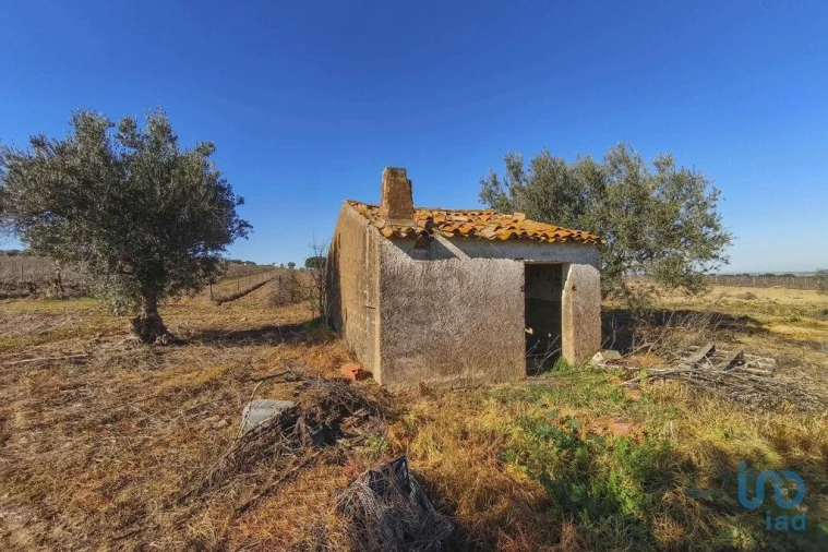 Terreno para Venda em Granja Foto 10