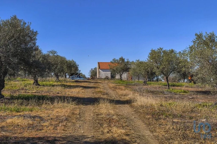 Terreno para Venda em Granja Foto 8