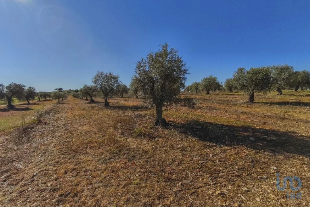 Terreno para Venda em Granja Foto 14