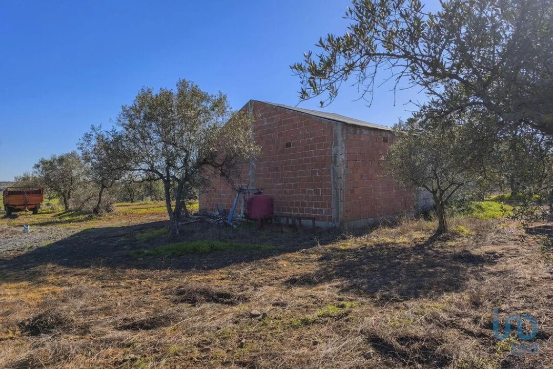 Terreno para Venda em Granja Foto 5