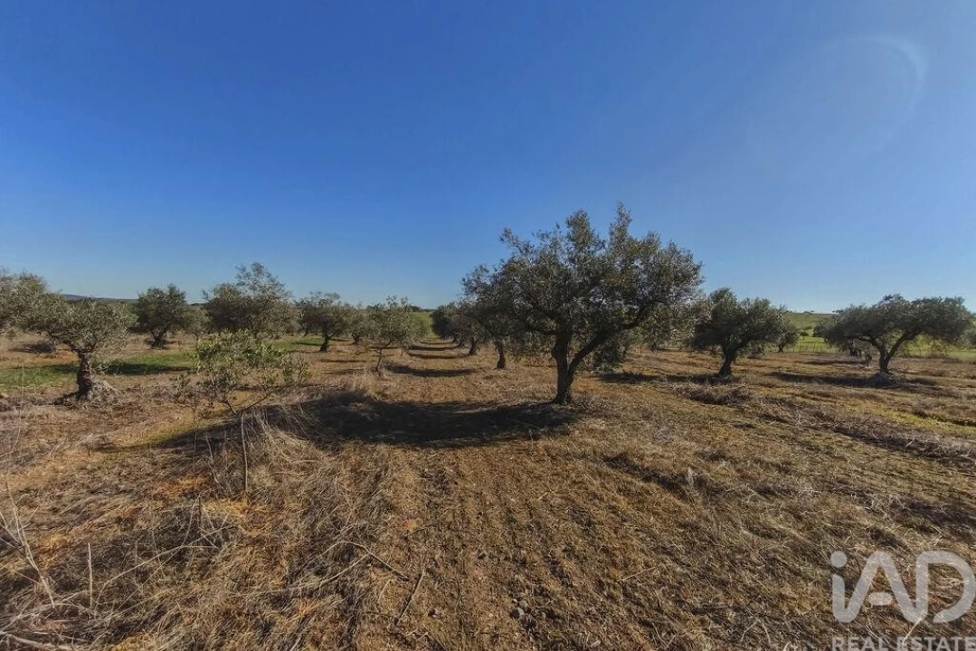 Terreno para Venda em Granja Foto 25