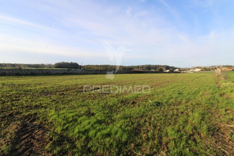 Terreno para Venda em Gião Foto 11
