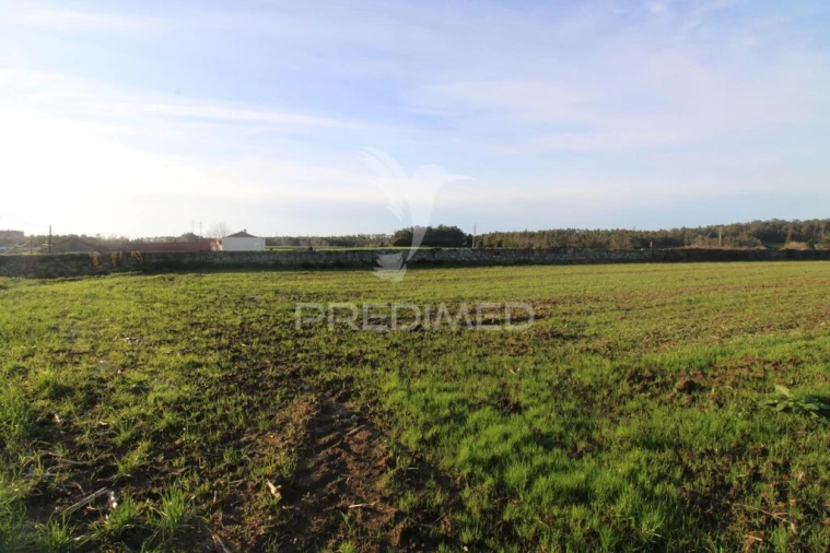 Terreno para Venda em Gião Foto 10