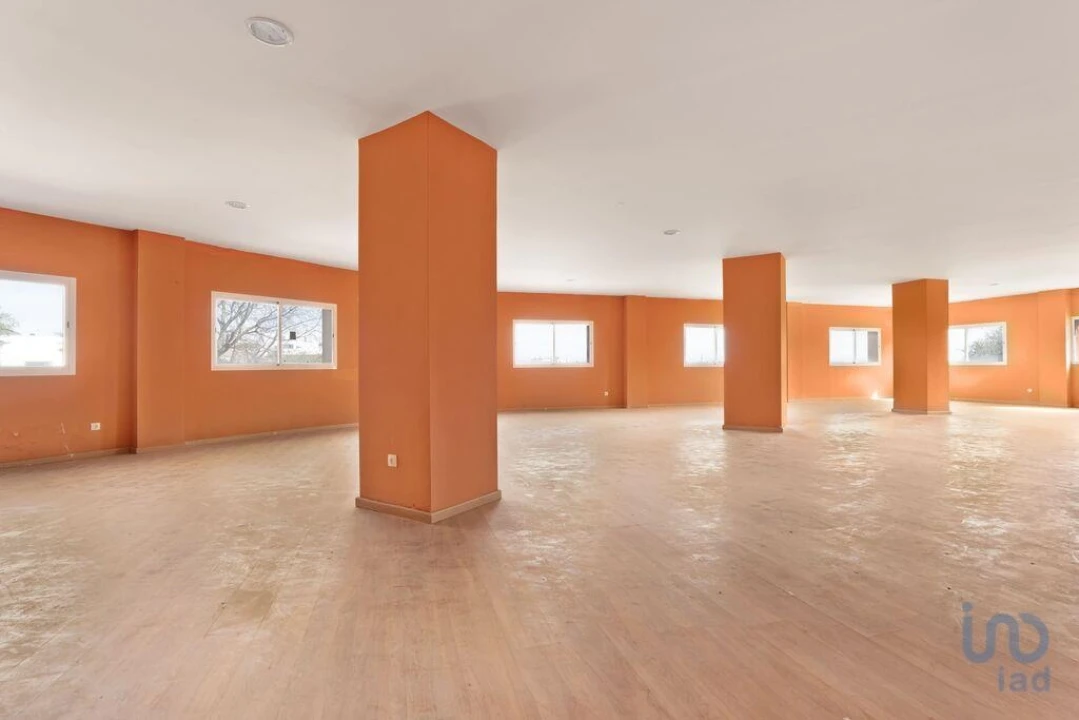 Quinta T33 para Venda em Assunção, Ajuda, Salvador e Santo Ildefonso Foto 10