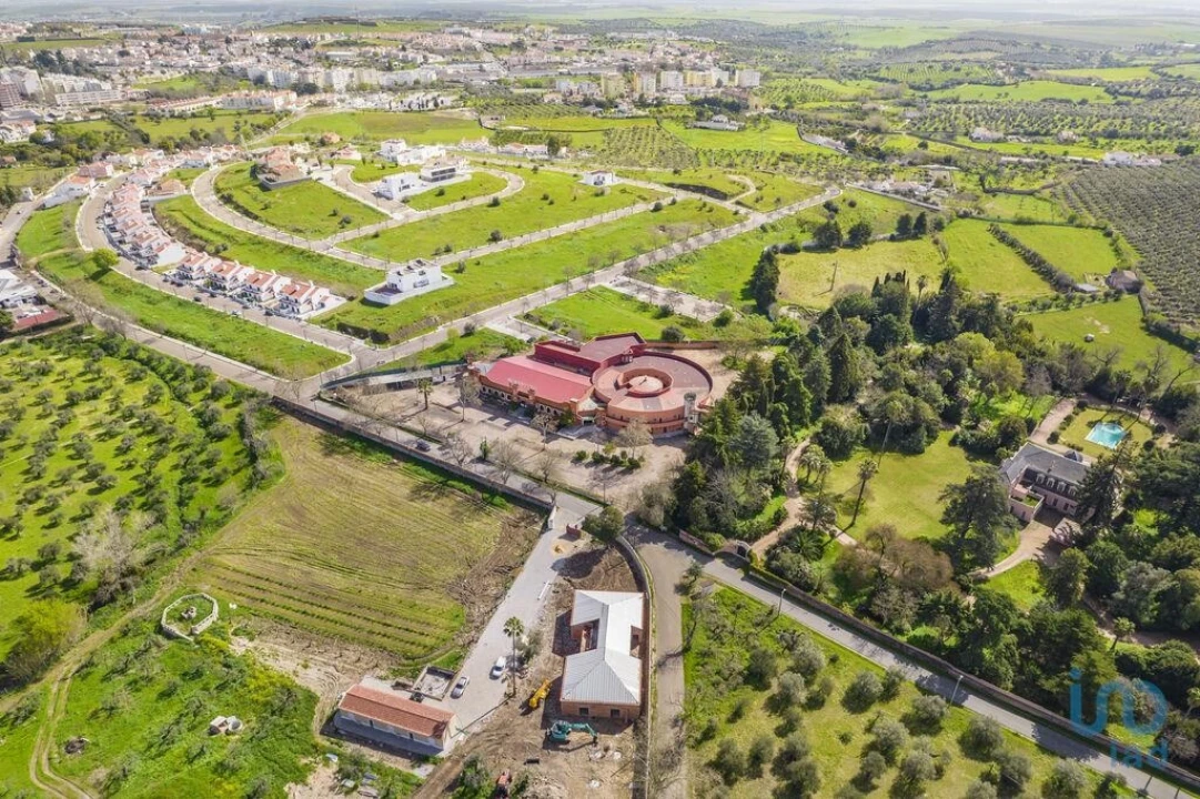 Quinta T33 para Venda em Assunção, Ajuda, Salvador e Santo Ildefonso Foto 3