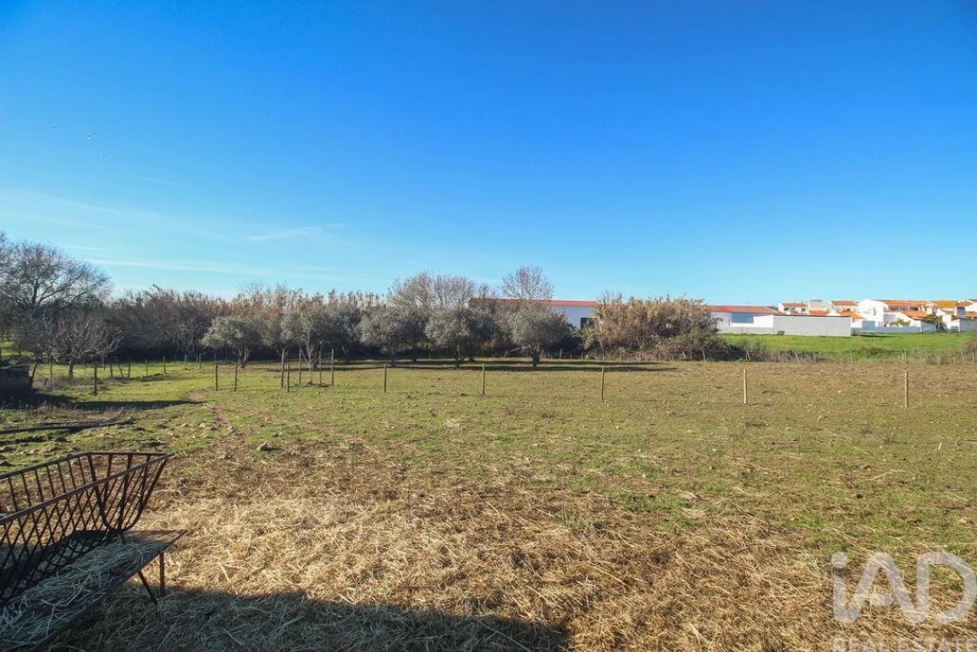 Moradia para Venda em Estremoz (Santa Maria e Santo André) Foto 26