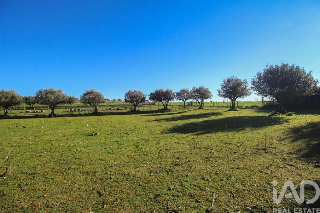Moradia para Venda em Estremoz (Santa Maria e Santo André) Foto 23