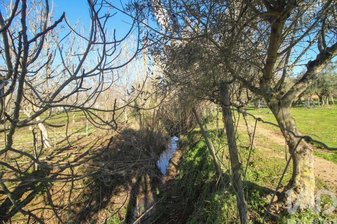 Moradia para Venda em Estremoz (Santa Maria e Santo André) Foto 24