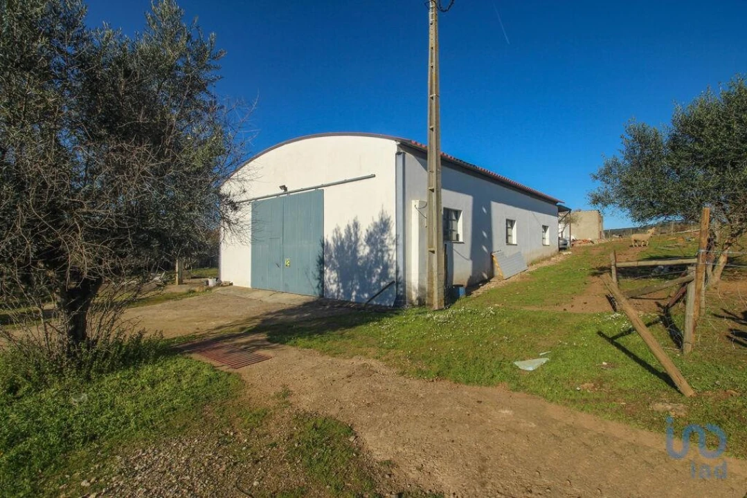 Moradia para Venda em Estremoz (Santa Maria e Santo André) Foto 5