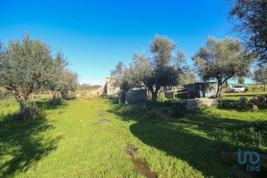 Moradia para Venda em Estremoz (Santa Maria e Santo André) Foto 13