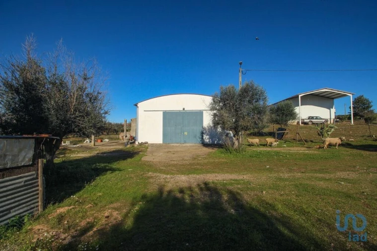 Moradia para Venda em Estremoz (Santa Maria e Santo André) Foto 3