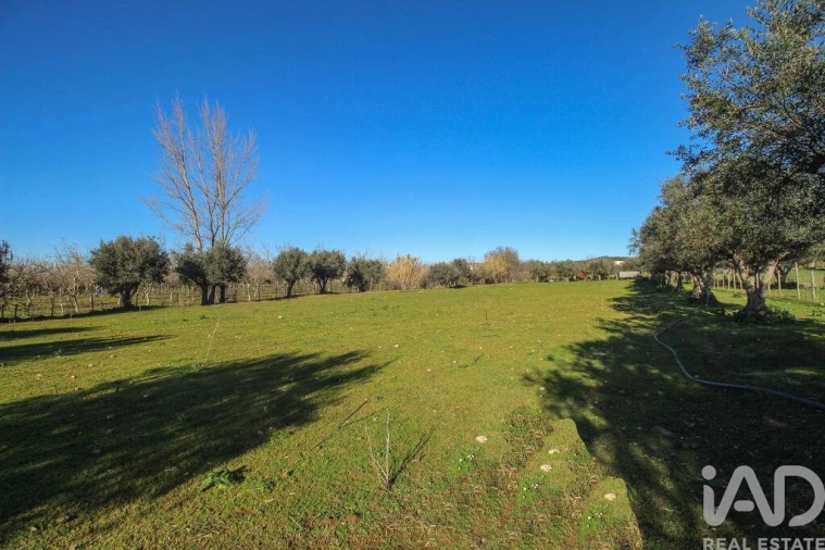 Moradia para Venda em Estremoz (Santa Maria e Santo André) Foto 19