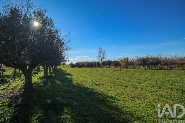 Moradia para Venda em Estremoz (Santa Maria e Santo André) Foto 18