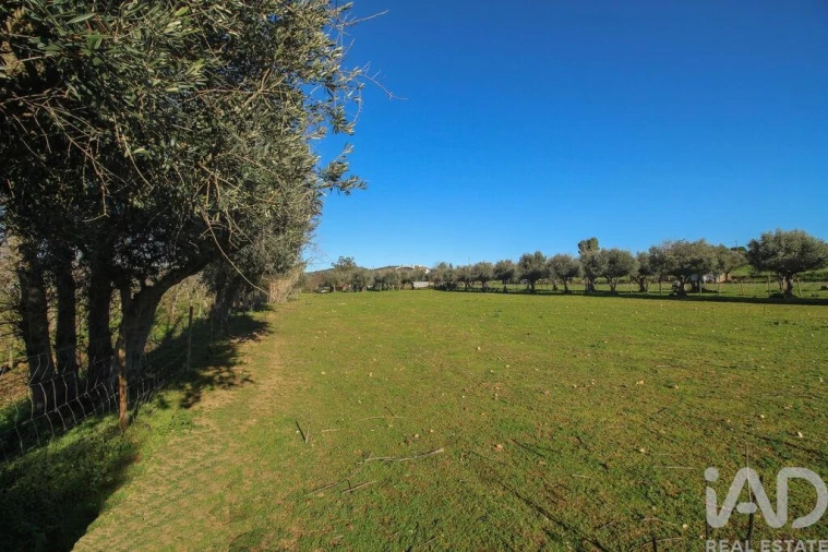 Moradia para Venda em Estremoz (Santa Maria e Santo André) Foto 22