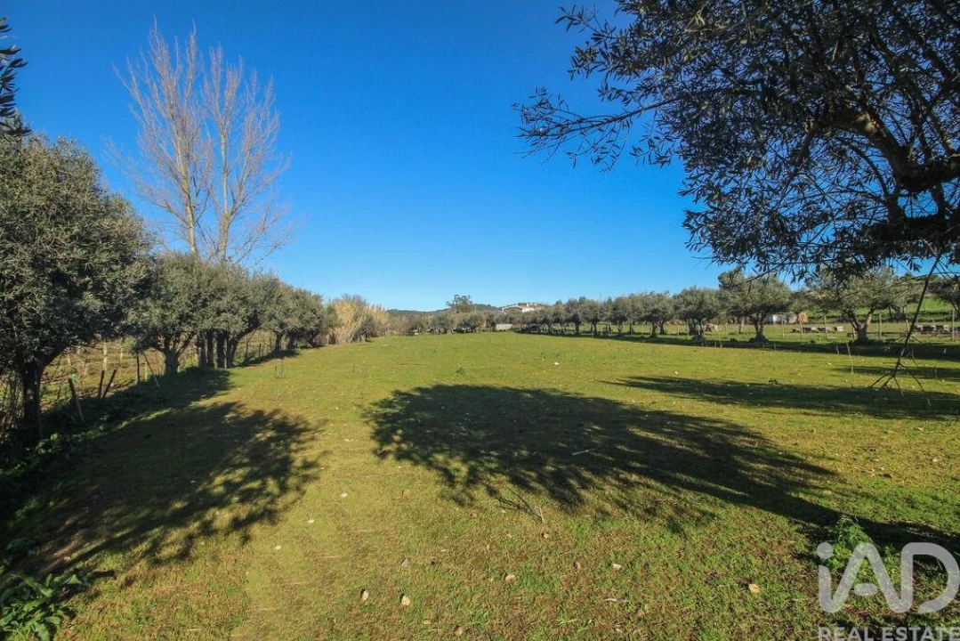 Moradia para Venda em Estremoz (Santa Maria e Santo André) Foto 21
